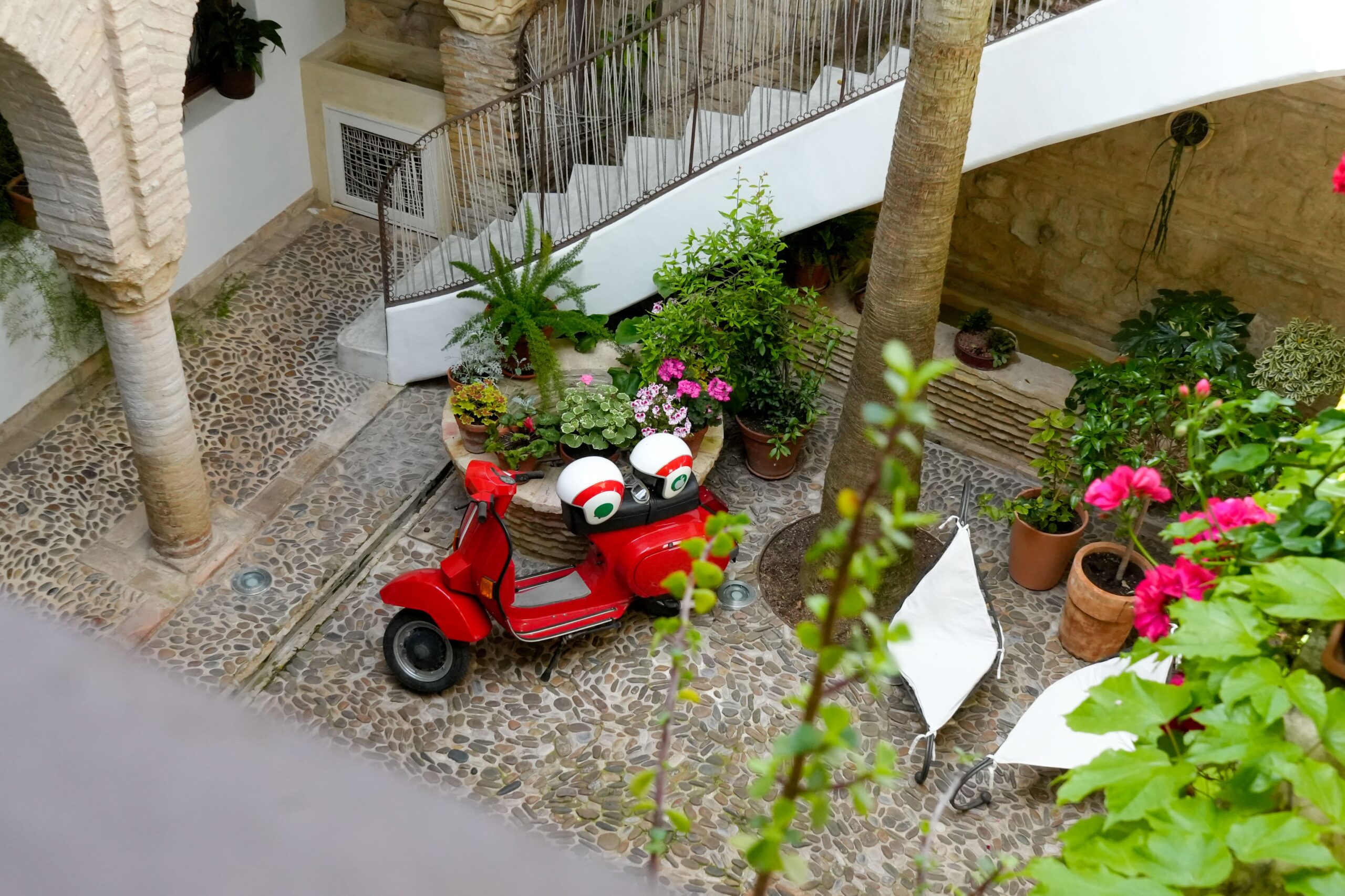 Un Día en un Patio Cordobés: Historia, Tradición y Belleza Viva
