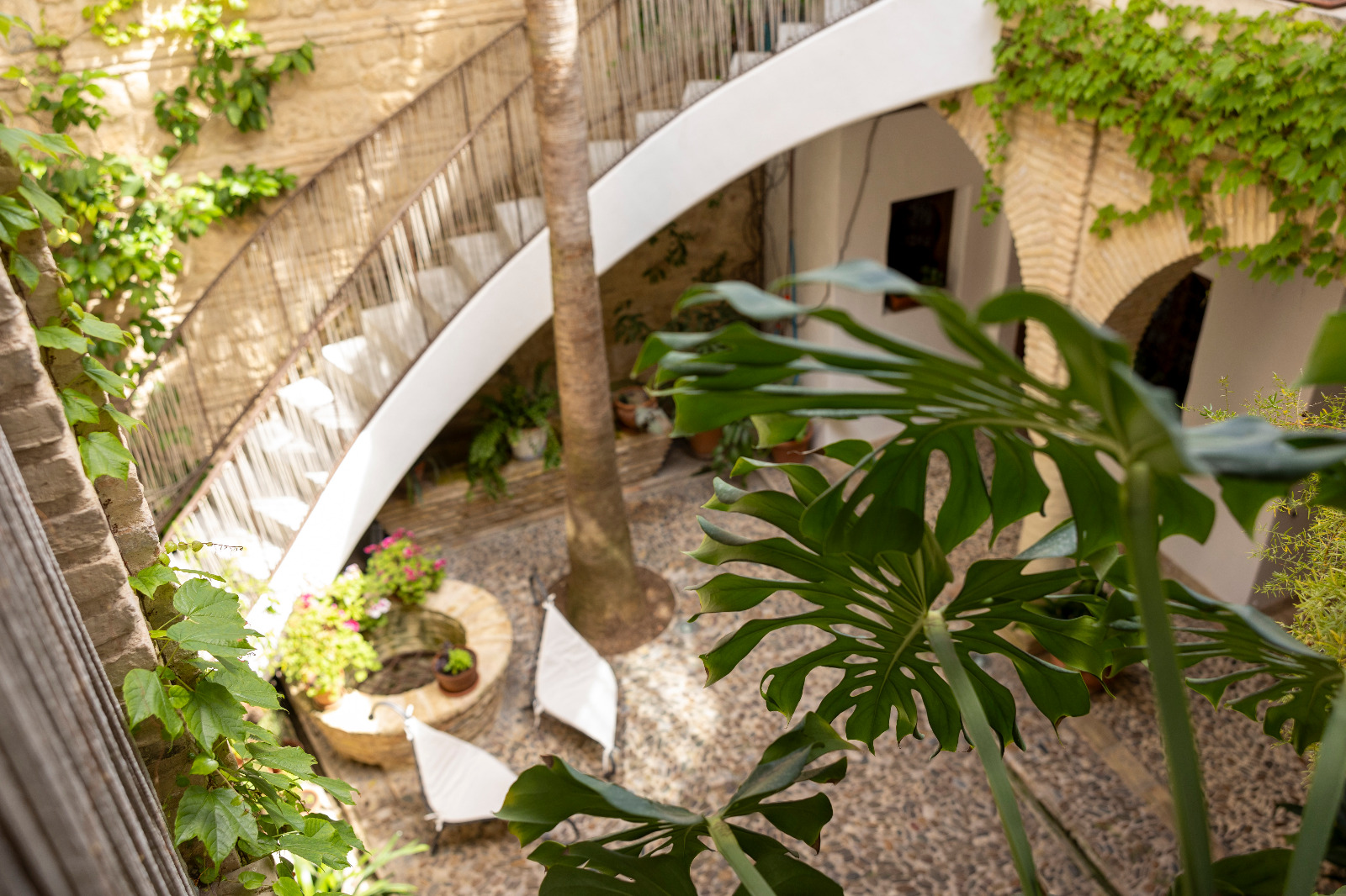 ¿Cómo Detener el Tiempo en Córdoba? Secretos de Bienestar, Placer y Longevidad en Patio del Posadero
